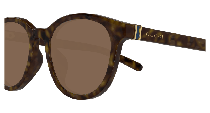 Havana Sunglasses Gucci 889652501703