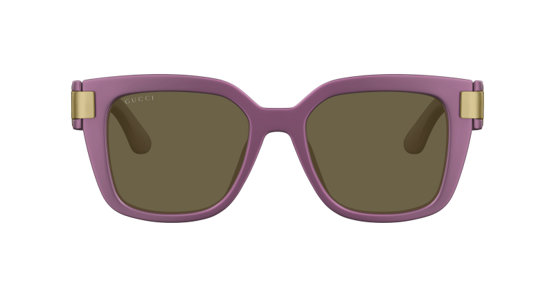 Violet Sunglasses Gucci 889652501901