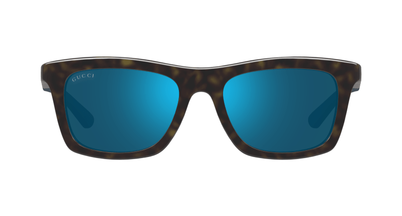 Havana Sunglasses Gucci 889652501185