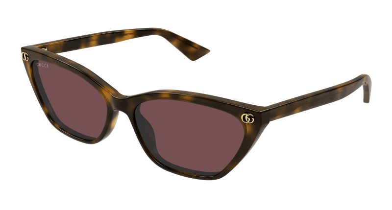 Havana Sunglasses Gucci 889652527468