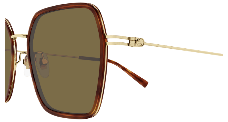 Havana Sunglasses Gucci 889652526195