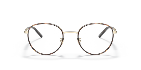 Matte Pale Gold/Havana - 0AR5111J 8056597425377