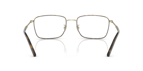 Matte Pale Gold/Havana - 0AR5127J 8056597738583