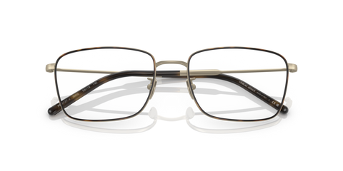 Matte Pale Gold/Havana - 0AR5127J 8056597738583