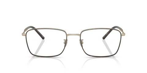 Matte Pale Gold/Havana - 0AR5127J 8056597738583
