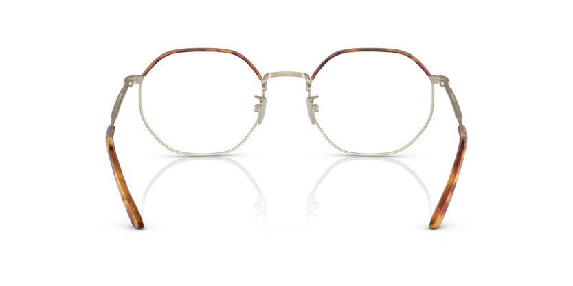 Matte Pale Gold/Light Havana - 0AR5130J 8056597749732