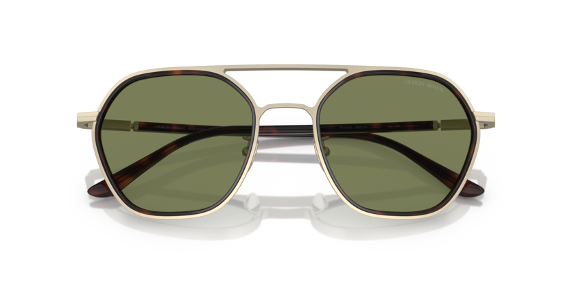 Giorgio Armani 0AR6145 Matte Pale Gold 8056597828987