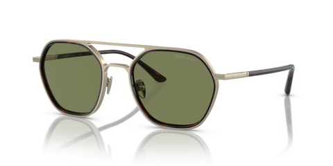 Giorgio Armani 0AR6145 Matte Pale Gold 8056597828987