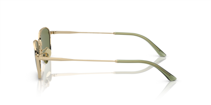 Pale Gold - 0AR6151 8056597943376