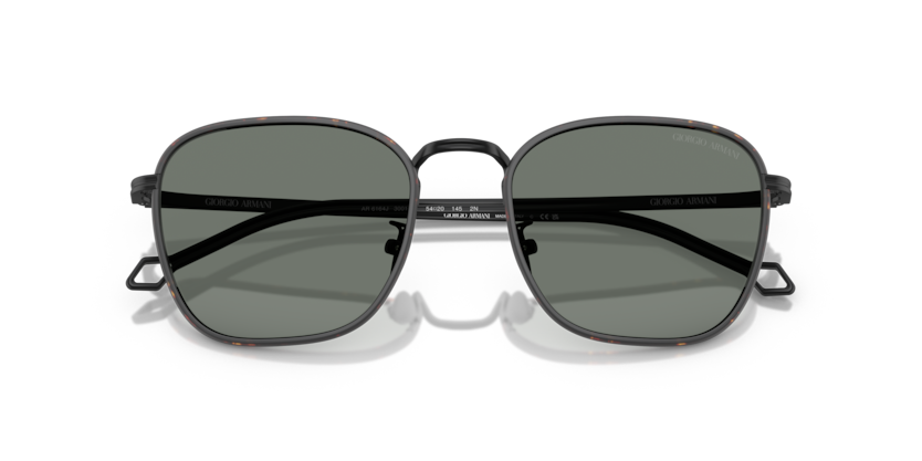 Matte Black - 0AR6164J 8056262223888