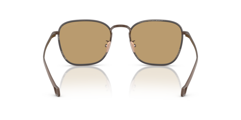 Matte Bronze - 0AR6164J 8056262223901