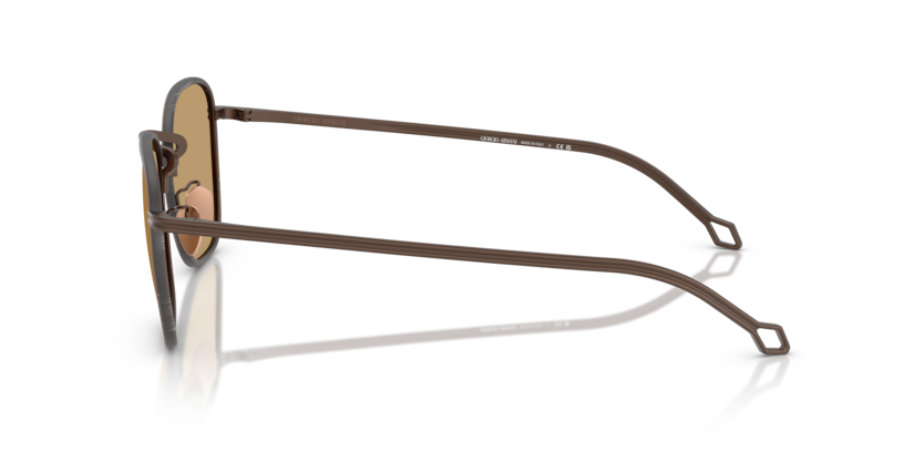 Matte Bronze - 0AR6164J 8056262223901