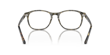 Top Black/Havana - 0AR7003 8056262062562