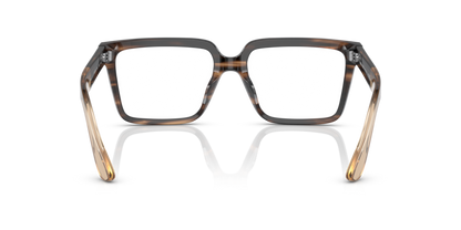 Shiny Striped Brown - 0AR7230U 8056597753395