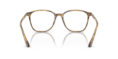 Striped Brown - 0AR7236 8056597831086