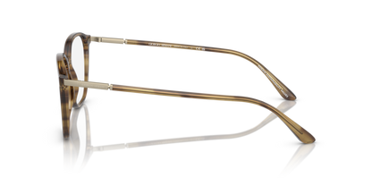 Striped Brown - 0AR7236 8056597831086