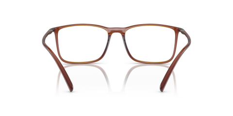 Transparent Brown - 0AR7244U 8056597827782