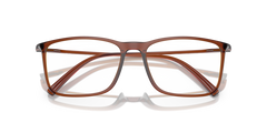 0AR7244U - Giorgio Armani - Brown - (Transparent Brown 6004) - 55 - 17 - 145 MM - Ardor Eyewear 8056597827782