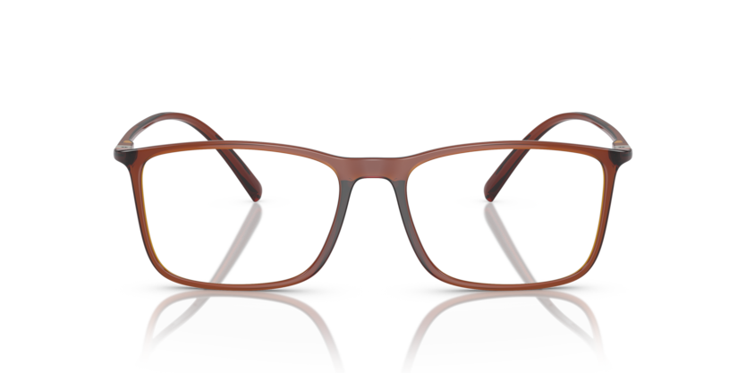 0AR7244U - Giorgio Armani - Brown - (Transparent Brown 6004) - 55 - 17 - 145 MM - Ardor Eyewear 8056597827782