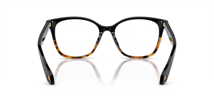 Black/Yellow Havana - 0AR7246U 8056597939720