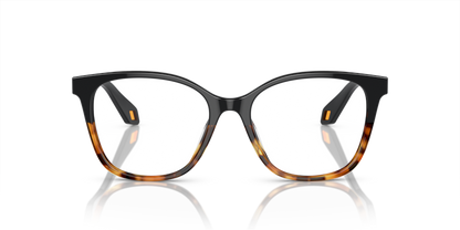 Black/Yellow Havana - 0AR7246U 8056597939720