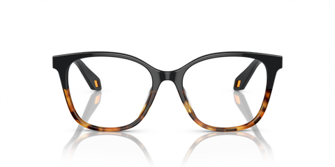 Black/Yellow Havana - 0AR7246U 8056597939720