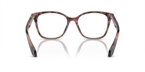 Bordeaux Havana/Havana Grey - 0AR7246U 8056597939775