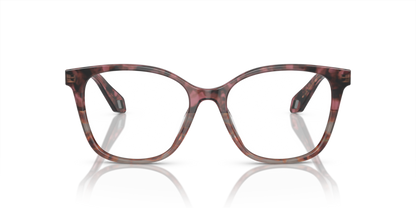 Bordeaux Havana/Havana Grey - 0AR7246U 8056597939775