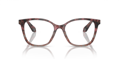 Bordeaux Havana/Havana Grey - 0AR7246U 8056597939775