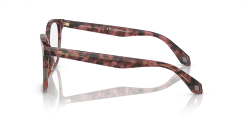 Bordeaux Havana/Havana Grey - 0AR7246U 8056597939775