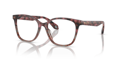 Bordeaux Havana/Havana Grey - 0AR7246U 8056597939775