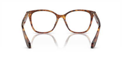 Red Havana/Orange Havana - 0AR7246U 8056597939782