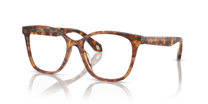 Red Havana/Orange Havana - 0AR7246U 8056597939782