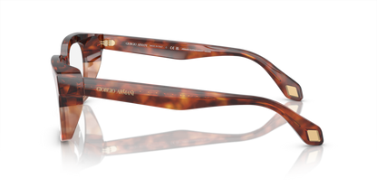 Red Havana/Honey Havana - 0AR7247U 8056597940122