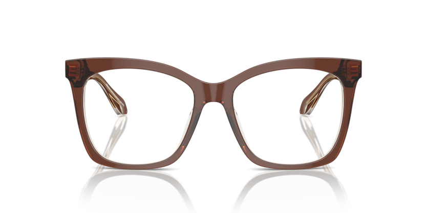 Top Transparent Brown/Honey - 0AR7254U 8056262044810