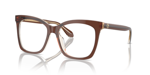 Top Transparent Brown/Honey - 0AR7254U 8056262044810