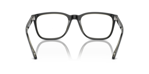 Top Black/Transparent Green - 0AR7255 8056262045053