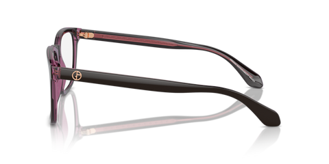 Top Brown/Transparent Pink - 0AR7255 8056262049570