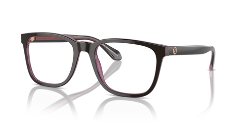 Top Brown/Transparent Pink - 0AR7255 8056262049570