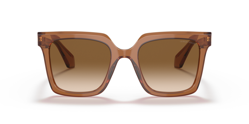 Transparent Brown - 0AR8156 8056597628150