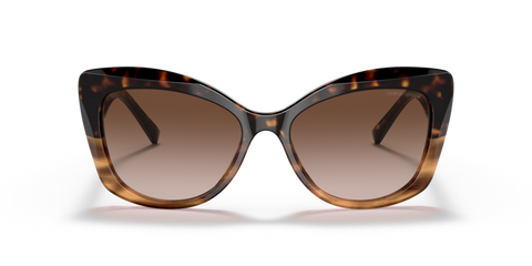 Havana/Striped Brown - 0AR8161 8056597628389