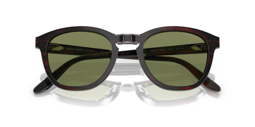 Striped Brown - 0AR8170 8056597753142