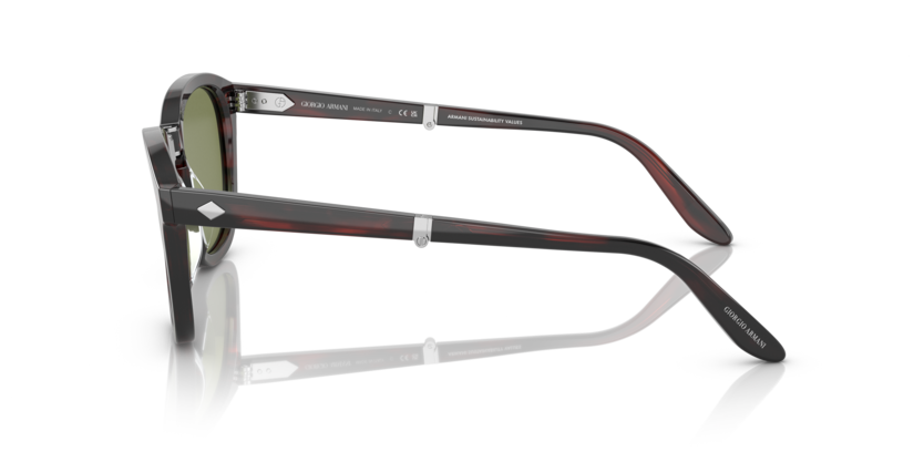 Striped Brown - 0AR8170 8056597753142