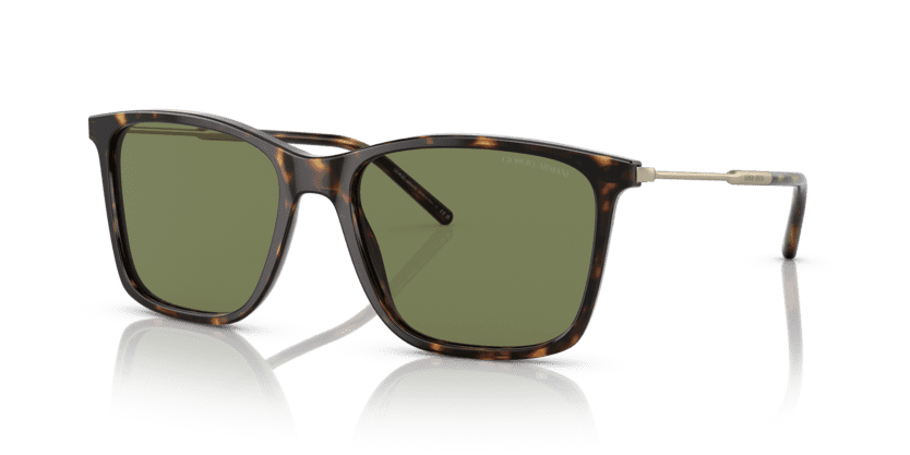  0AR8176 - Sunglasses -  Giorgio Armani -  Ardor Eyewear