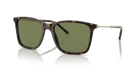  0AR8176 - Sunglasses -  Giorgio Armani -  Ardor Eyewear