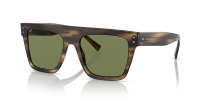  0AR8177 - Sunglasses -  Giorgio Armani -  Ardor Eyewear