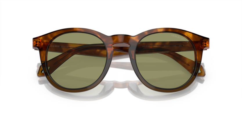 Havana Red/Opal Olive Green - 0AR8192 8056597940542