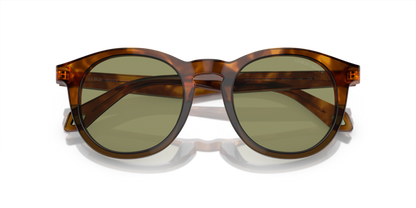 Havana Red/Opal Olive Green - 0AR8192 8056597940542