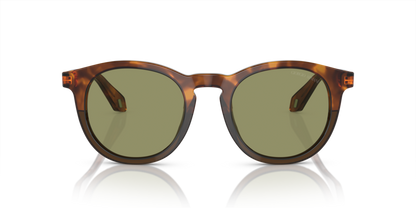 Havana Red/Opal Olive Green - 0AR8192 8056597940542