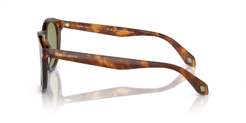 Havana Red/Opal Olive Green - 0AR8192 8056597940542